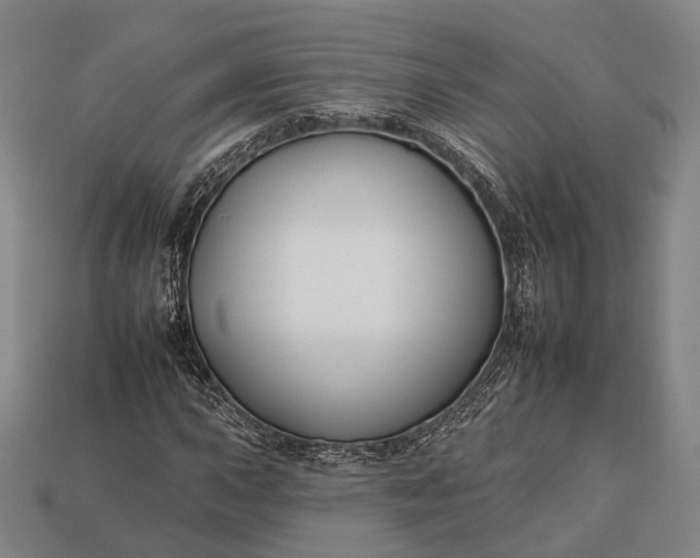 X0000112931015200909071029