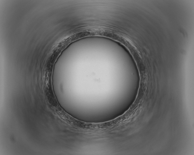 X0000112931016200909071029