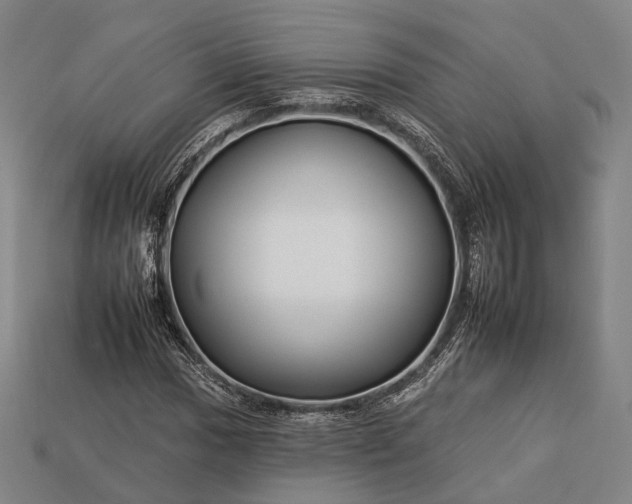 X0000112931017200909071029