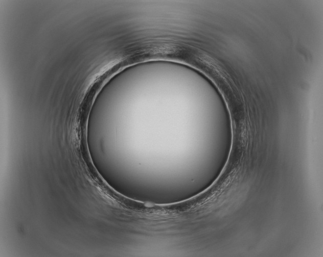 X0000112931018200909071029