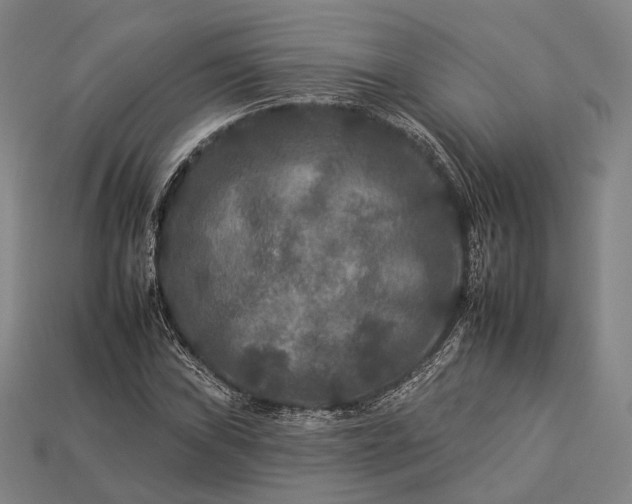 X0000112931019200909071029