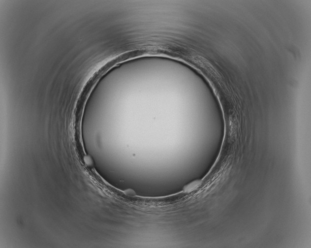 X0000112931020200909071029