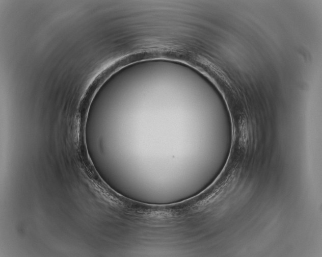 X0000112931021200909071029