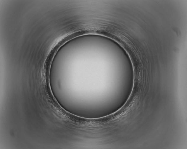 X0000112931022200909071029