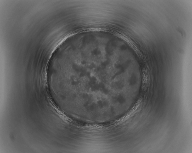 X0000112931023200909071029