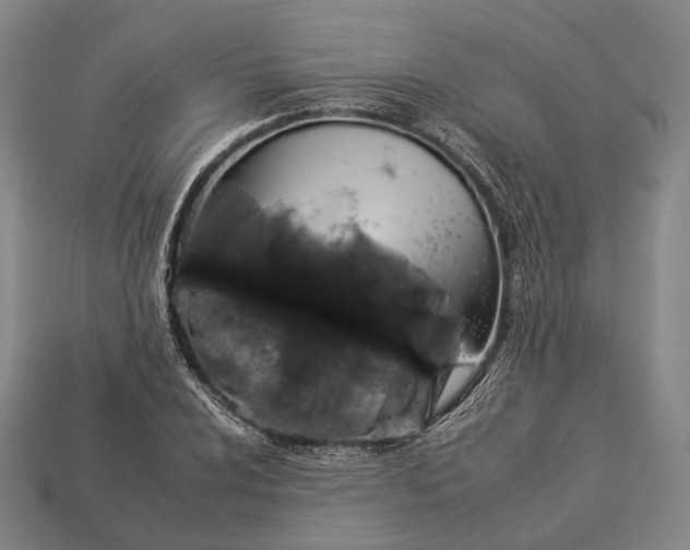 X0000112931024200909071029