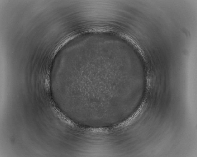 X0000112931025200909071029