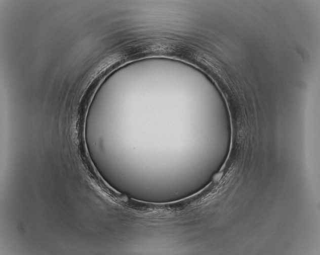 X0000112931026200909071029