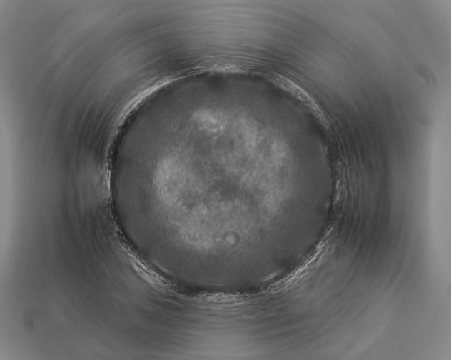 X0000112931027200909071029