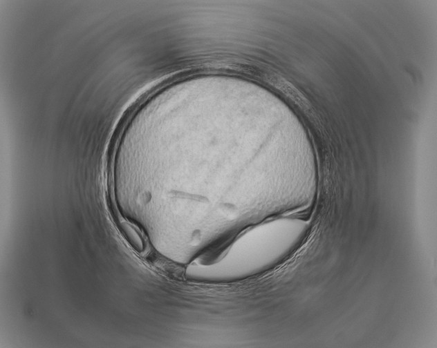 X0000112931028200909071029