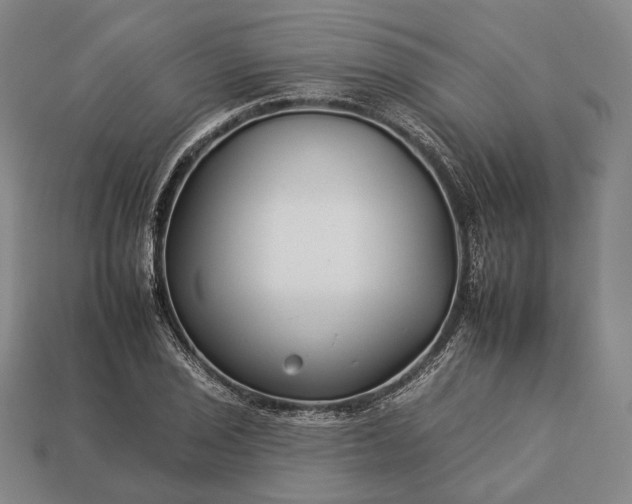 X0000112931029200909071029