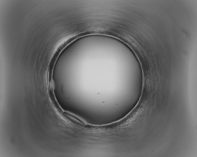 X0000112931030200909071029