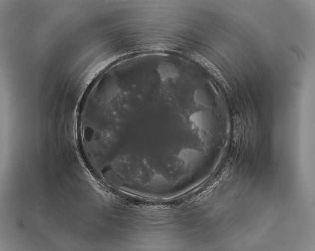 X0000112931031200909071029