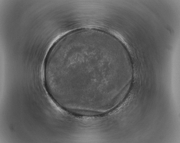 X0000112931032200909071029