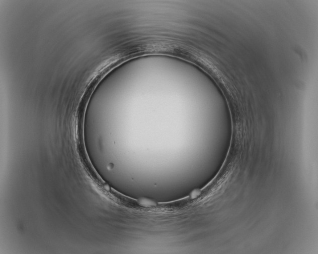 X0000112931034200909071029