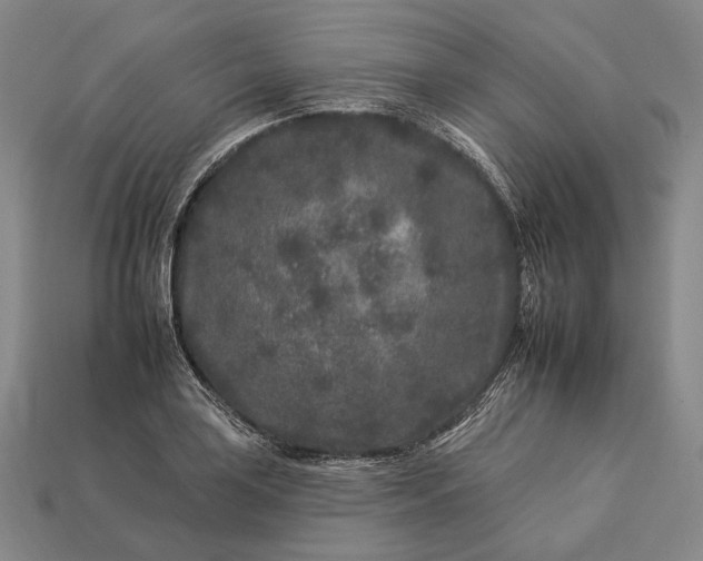 X0000112931035200909071029