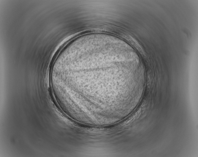 X0000112931036200909071029