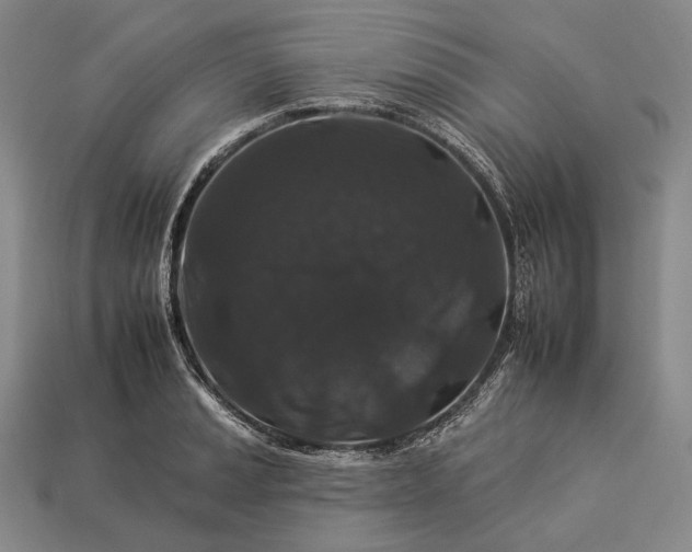 X0000112931037200909071029