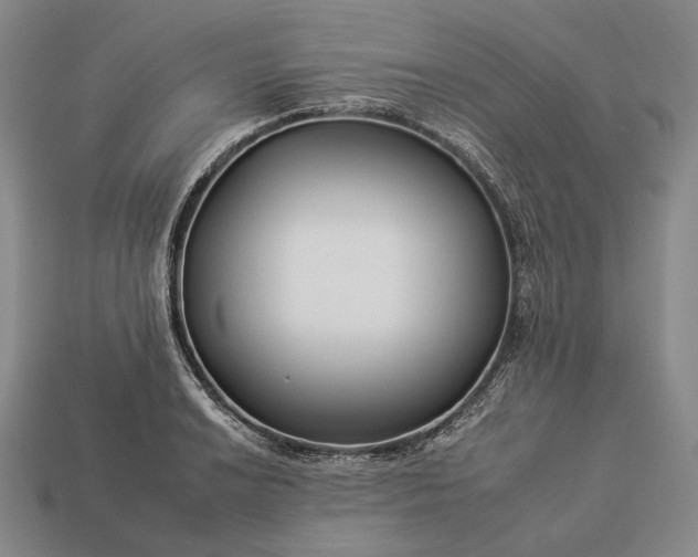 X0000112931038200909071029