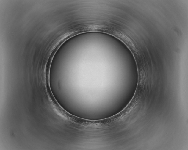 X0000112931039200909071029