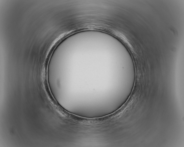 X0000112931040200909071029