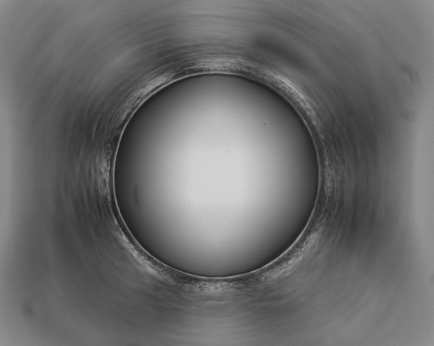 X0000112931041200909071029