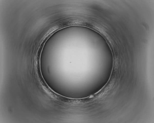 X0000112931042200909071029