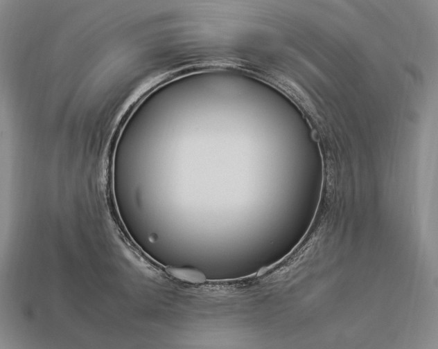 X0000112931044200909071029