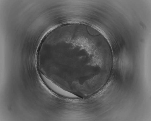 X0000112931045200909071029