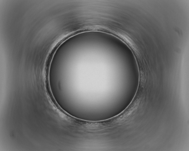 X0000112931046200909071029