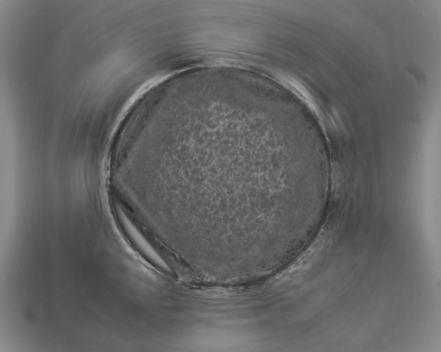 X0000112931048200909071029