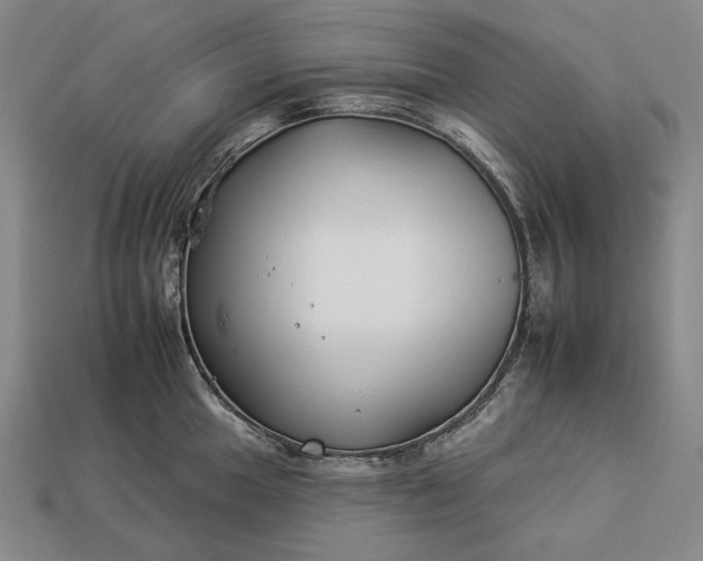 X0000112931049200909071029