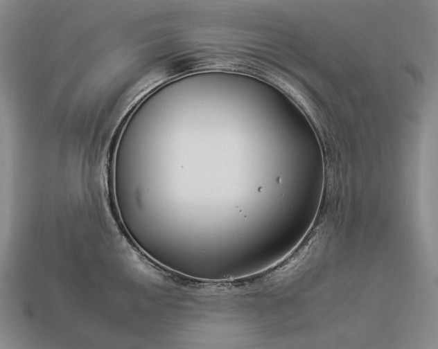 X0000112931050200909071029