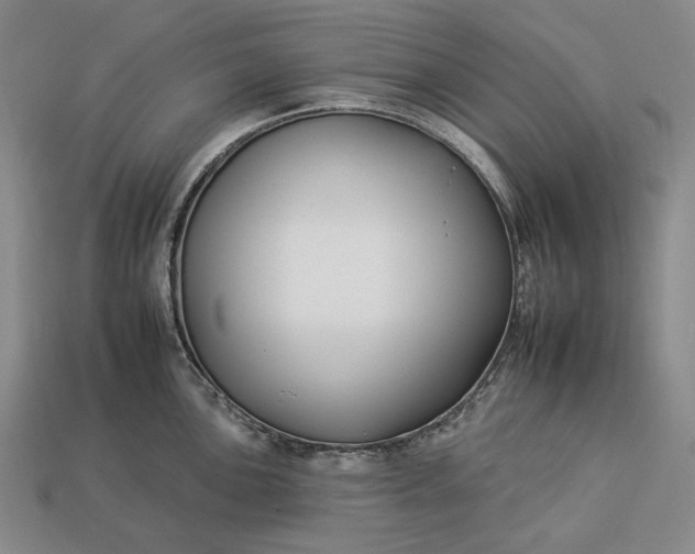 X0000112931051200909071029