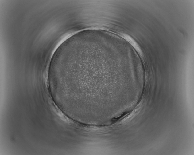 X0000112931052200909071029