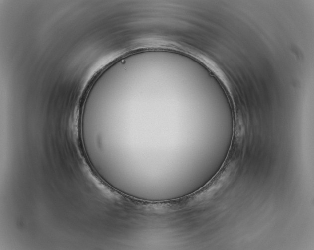 X0000112931053200909071029