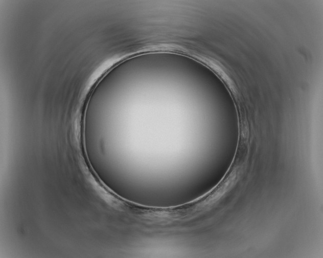 X0000112931054200909071029