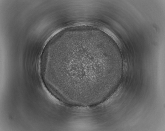 X0000112931055200909071029