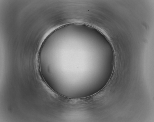 X0000112931056200909071029