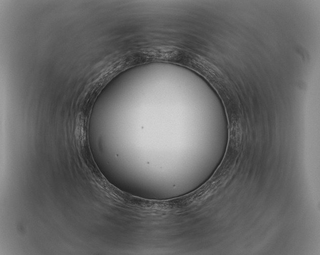 X0000112931058200909071028