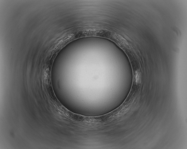 X0000112931059200909071028