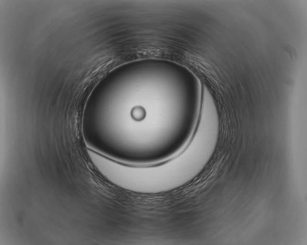 X0000112931060200909071028