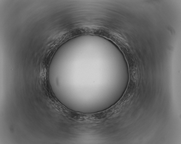 X0000112931061200909071028