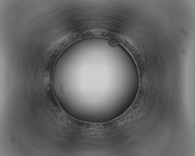 X0000112931062200909071028