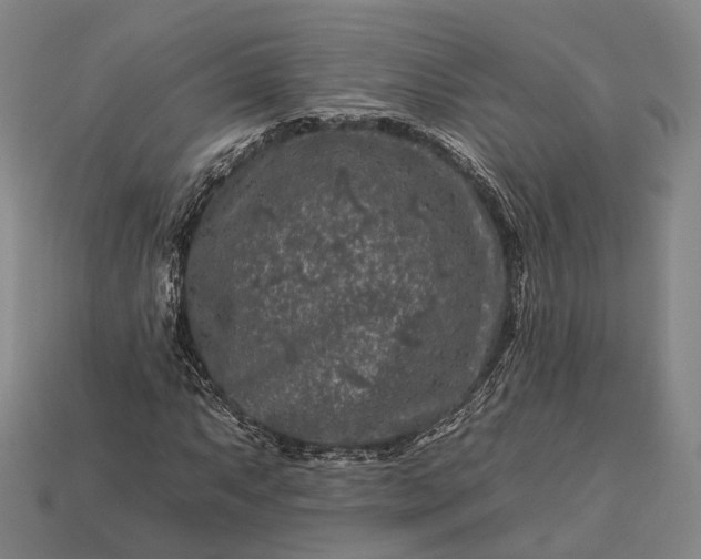 X0000112931063200909071028