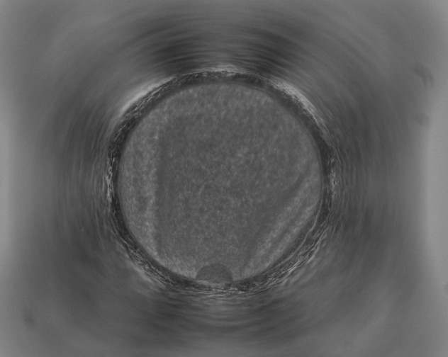 X0000112931064200909071028