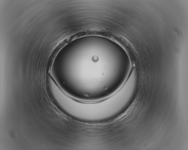 X0000112931065200909071028