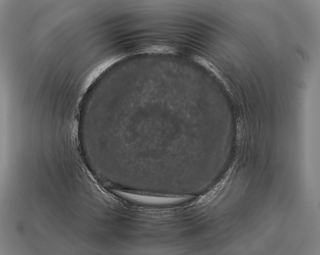 X0000112931066200909071028