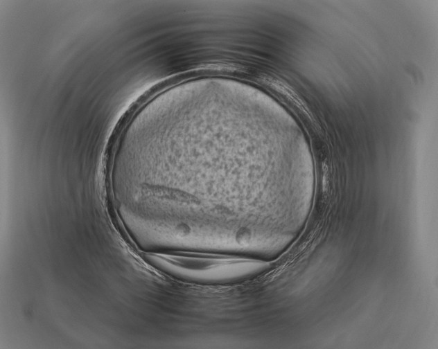 X0000112931068200909071028