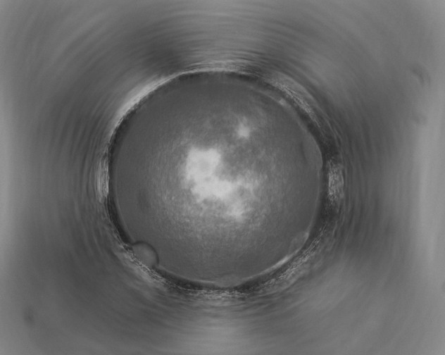 X0000112931069200909071028